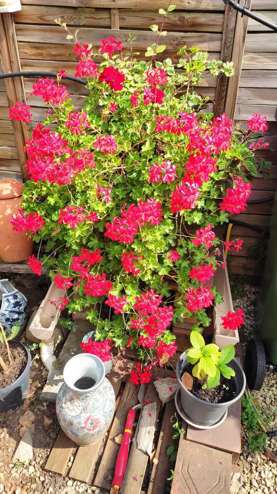 Un Deux Pieces Et Un Jardin A 维勒瑞夫 外观 照片
